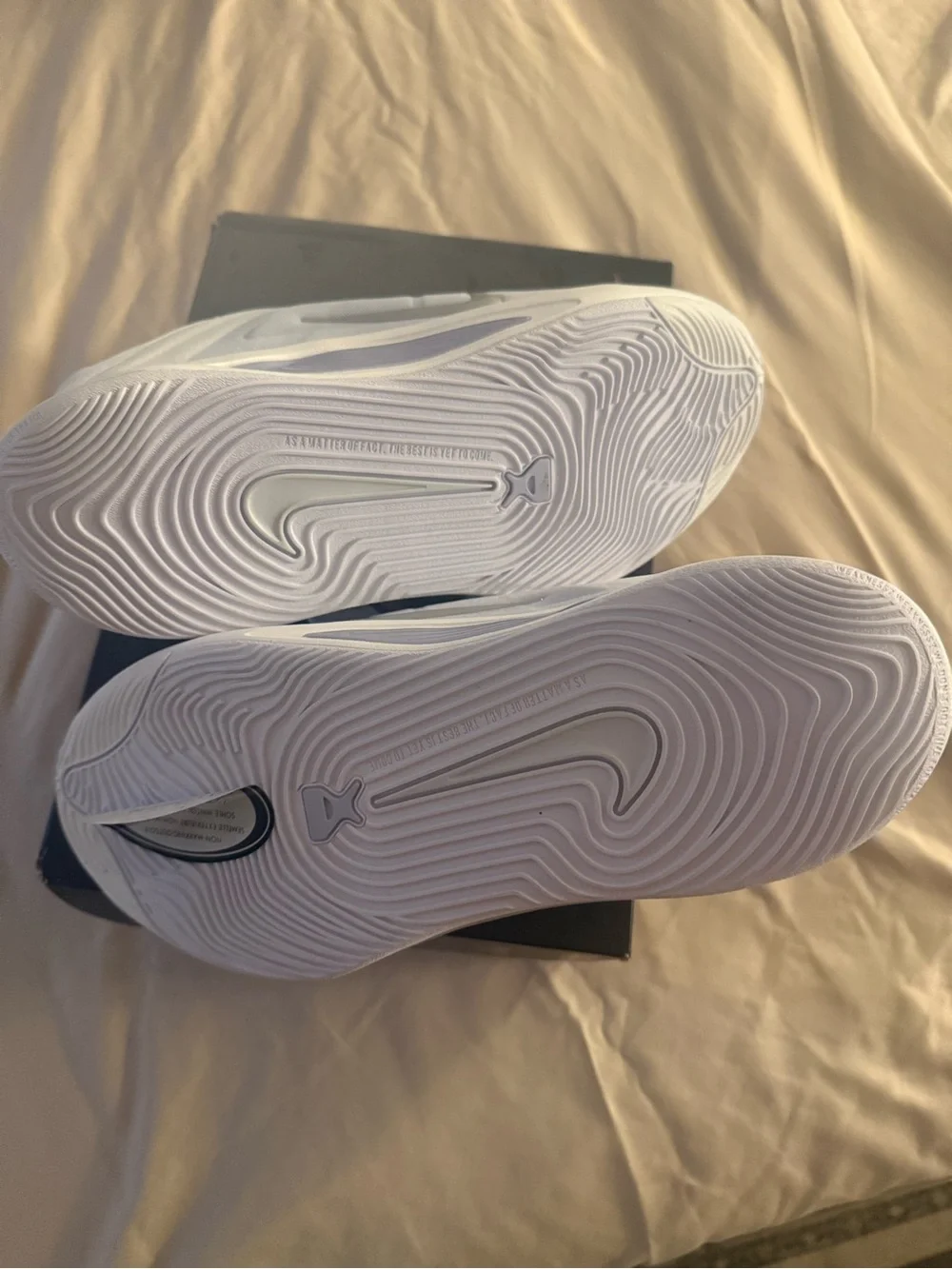 Nike Men’s White and Silver Low-Top Sneakers